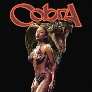 Capa oficial do single "Cobra". Imagem: Divulgação.