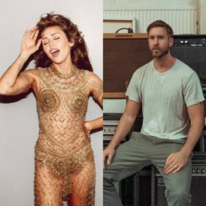 Miley Cyrus e Calvin Harris em imagens publicadas nas redes sociais. Imagens: Internet.