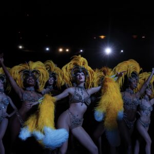 Capa alternativa de "The Life Of A Showgirl". Imagem: Divulgação.