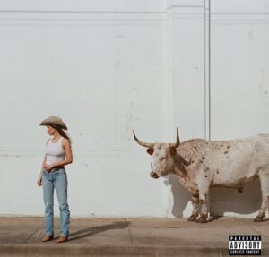 Capa do álbum "Middle of Nowhere". Imagem: Divulgação.
