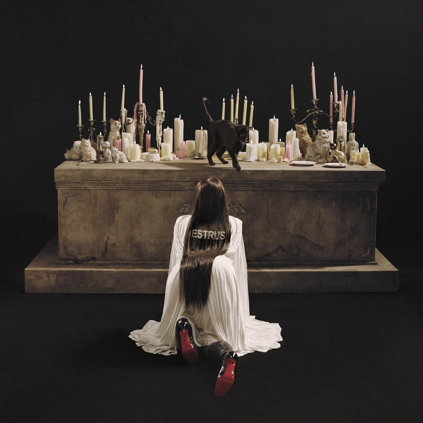 Capa oficial do álbum "Estrus". Imagem: Divulgação.