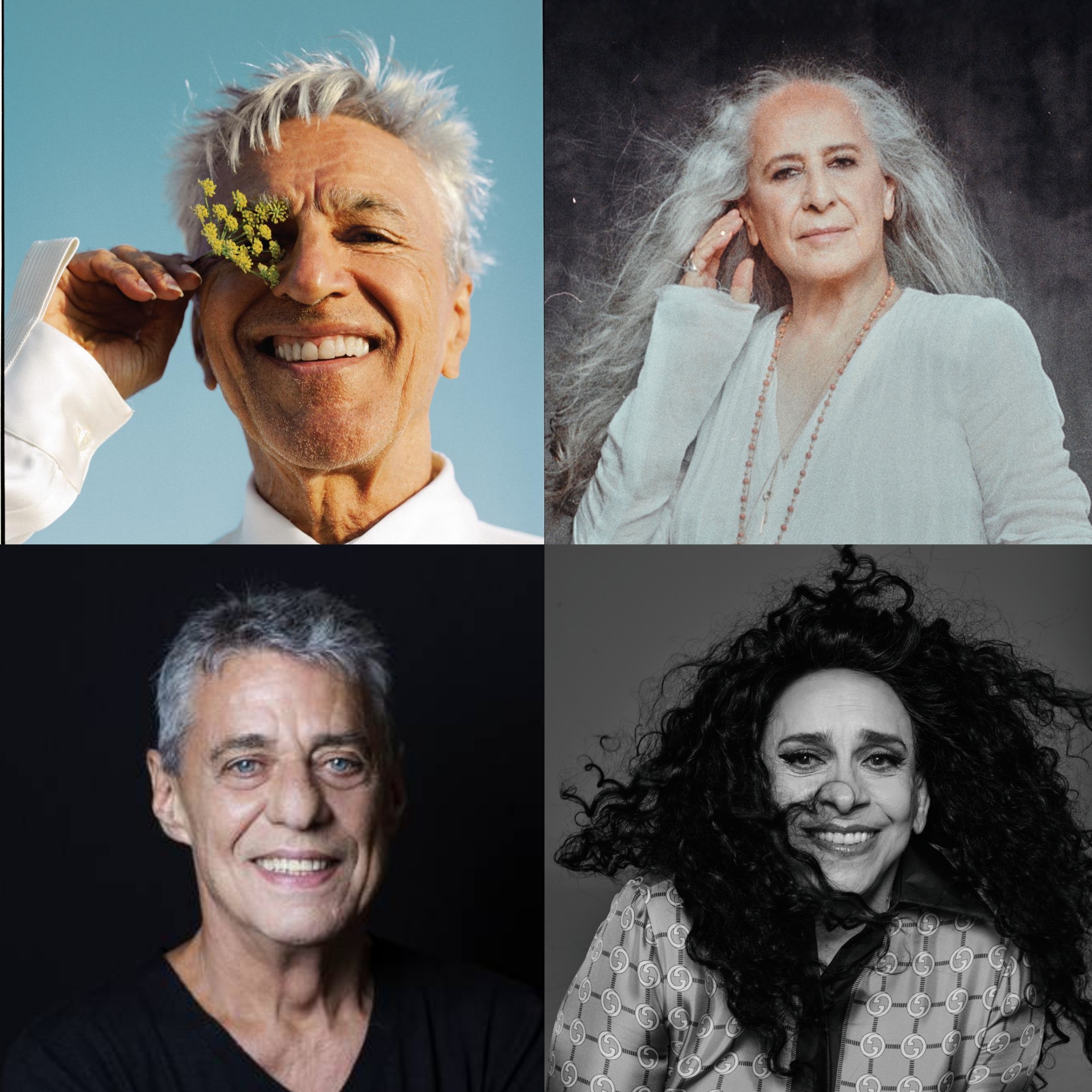 Caetano Veloso, Maria Bethânia, Chico Buarque e Gal Costa, ícones da música popular brasileira. Fotos: Reprodução